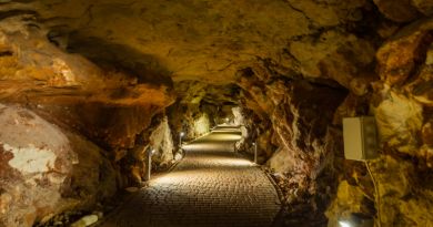 Экскурсии в Пещеру Таврида из Учкуевки 2024