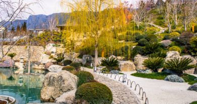 Экскурсии в Японский сад "Шесть чувств" в отеле "Мрия" из Учкуевки 2024